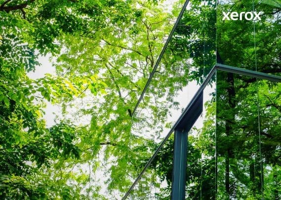 Reflejo de árboles visibles en la fachada de vidrio de un edificio moderno, que crea una combinación armoniosa de naturaleza y arquitectura.