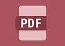Icono de PDF de Workflow Central
